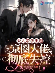 夫人带着三胞胎回国了什么小说