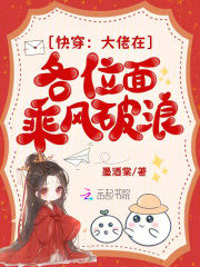 大佬在快穿很忙by笙昭