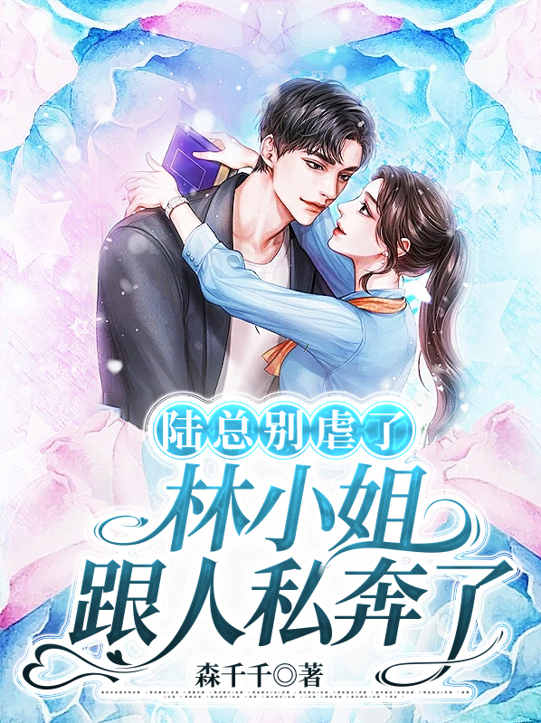 陆总小说
