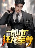 都市狂龙至尊