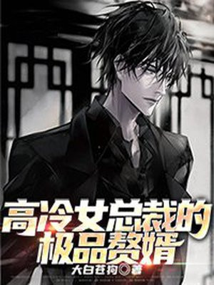 高冷女总裁的极品赘婿