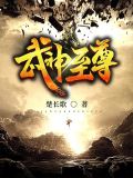 武神至尊小说林飞全部章节
