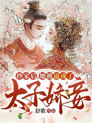 抄家之后,撑起一个家的重生小说