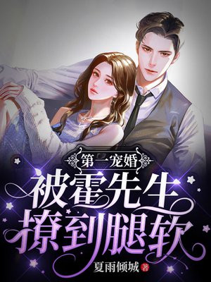 大叔轻点宠txt