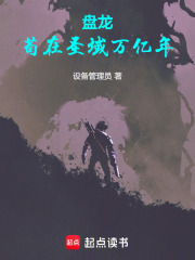 盘龙圣域巅峰什么水平