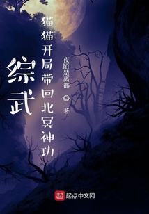 综武：猫猫开局带回北冥神功