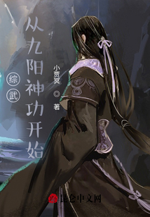 综武开局九阳神功