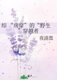 综 “房穿”的“野生”穿越者