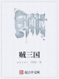 贼三国武力排名