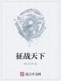 征战天下风雨军之帝国
