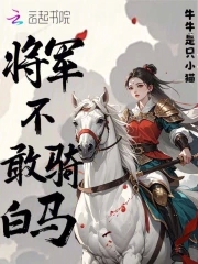 将军不敢骑白马小说