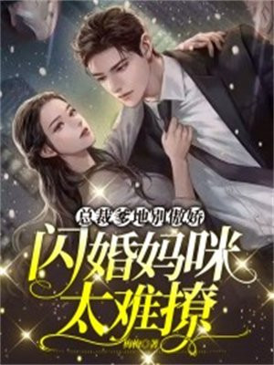 总裁爹地别傲娇,闪婚妈咪太难撩全文阅读