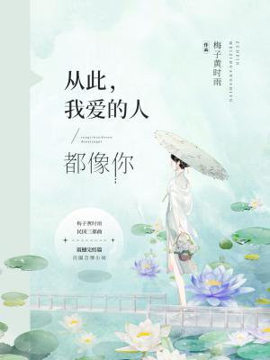 从此我爱的人都像你 歌词