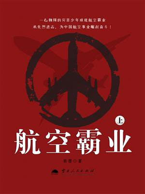 航空霸业(上)