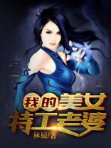 我的美女特工老婆林辰小说阅读
