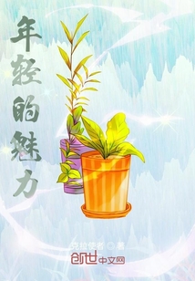 魅力猫年轻时的样子