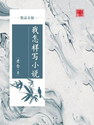 我如何写小说