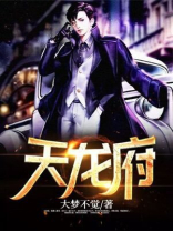 天龙府是什么意思