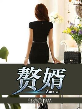 赘婿小说TXT下载