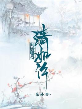 问厨哪得清如许主角