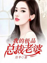 我的极品总裁老婆叶枫全文免费