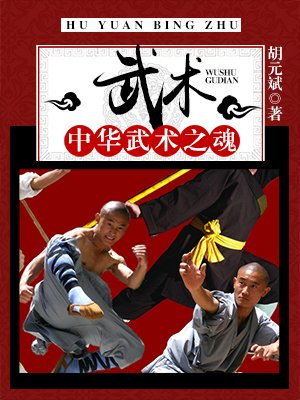 武术:中华武术之魂