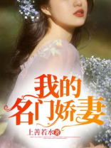 我的名门娇妻作者上善若水第十五章免费阅读