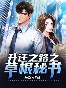 升迁之路之草根秘书