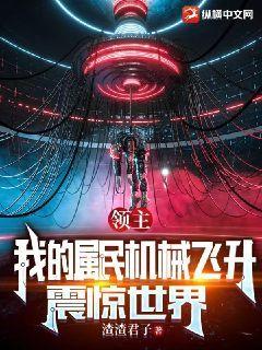 领主:我的属民机械飞升,震惊世界