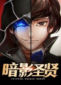 暗影圣贤TXT下载