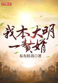 我本大明一赘婿和什么书一样