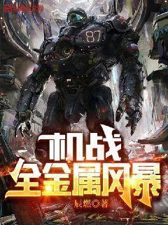 机战:全金属风暴