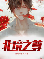 北境之尊秦风