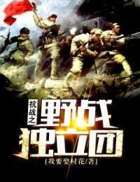 抗战之野战独立团评书