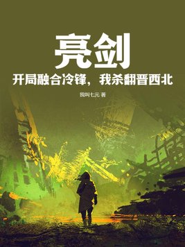 亮剑:开局融合冷锋,我杀翻晋西北! 我叫七元