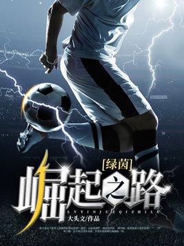 崛起之路 小说