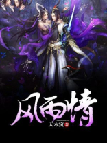 风雨情歌曲