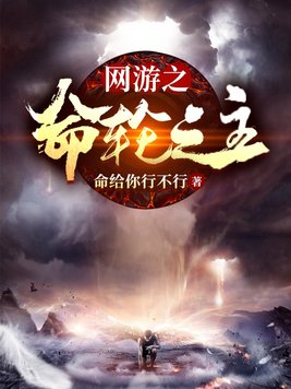 网游之命轮之主TXT下载八零