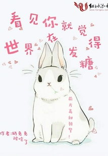 看见你就觉得世界在发糖 小说
