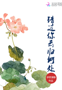 云归何处 金守拙