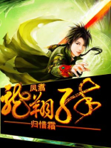三国龙翔传 小说