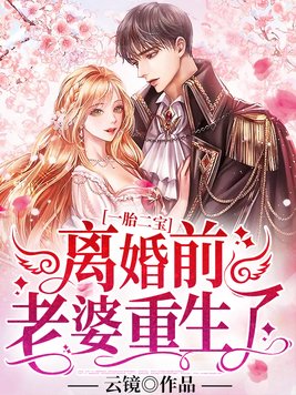 一胎二宝:离婚前,老婆重生了+云镜