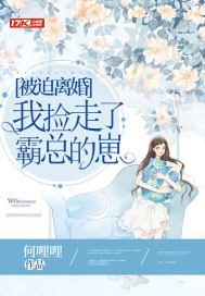 被迫离婚,我捡走了霸总的崽