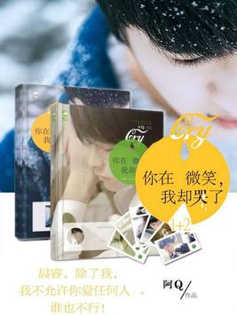 你在微笑,我却哭了电视连续剧