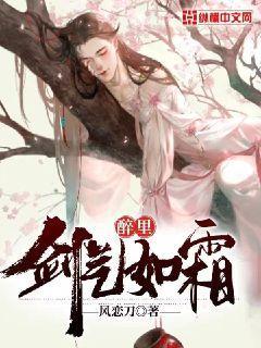 醉里,剑气如霜txt