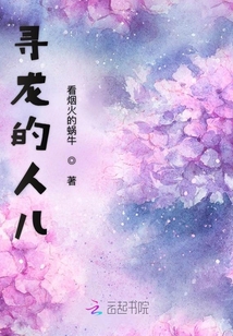 寻龙的人儿
