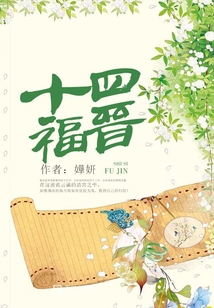 十四福晋小说