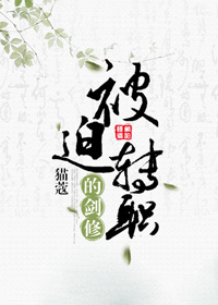 被迫转职的剑修2k