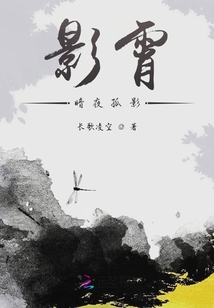 暗影夜袭