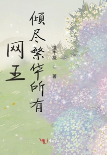 网王倾尽繁华所有小说
